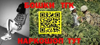 jwh Нальчик