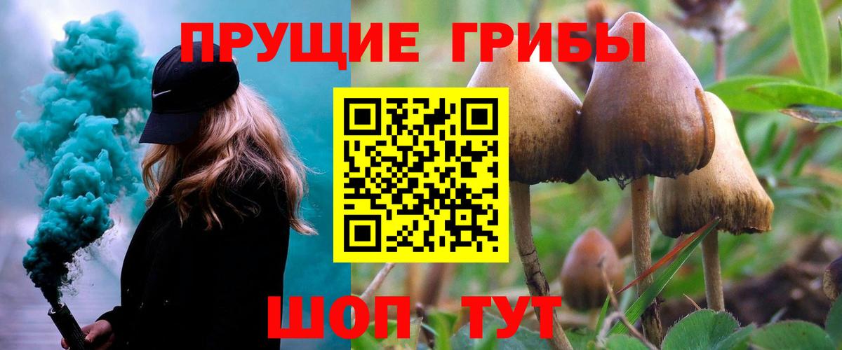 Галлюциногенные грибы Cubensis Ульяновск